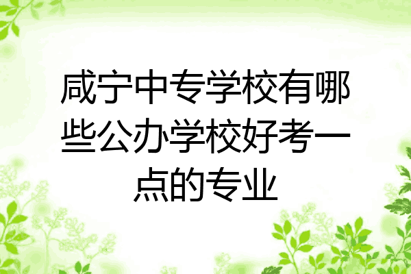 咸宁中专学校有哪些公办学校好考一点的专业