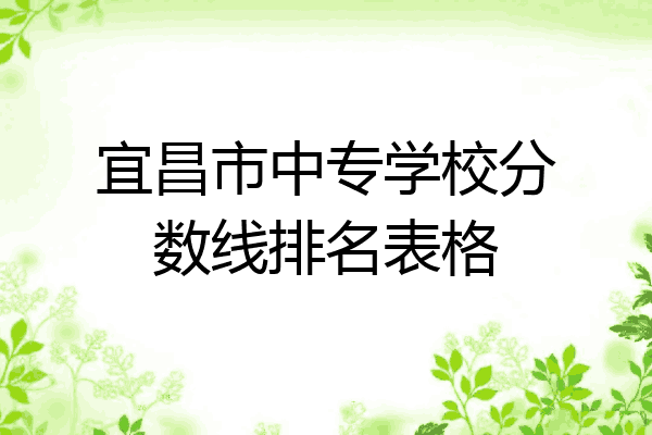 宜昌市中专学校分数线排名表格