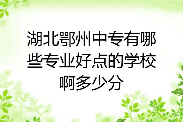 湖北鄂州中专有哪些专业好点的学校啊多少分