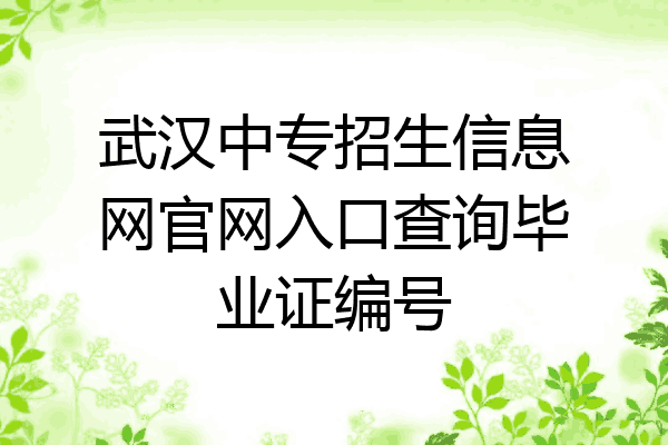 武汉中专招生信息网官网入口查询毕业证编号