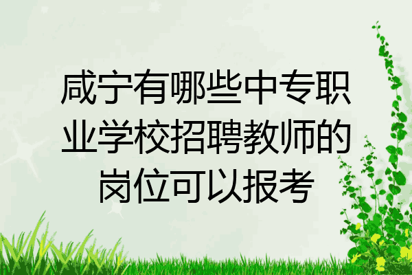 咸宁有哪些中专职业学校招聘教师的岗位可以报考