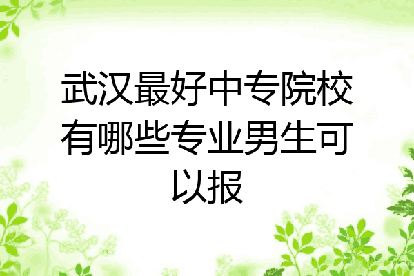 武汉最好中专院校有哪些专业男生可以报