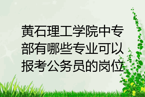 黄石理工学院中专部有哪些专业可以报考公务员的岗位