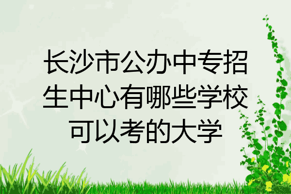 长沙市公办中专招生中心有哪些学校可以考的大学