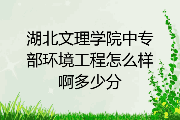 湖北文理学院中专部环境工程怎么样啊多少分