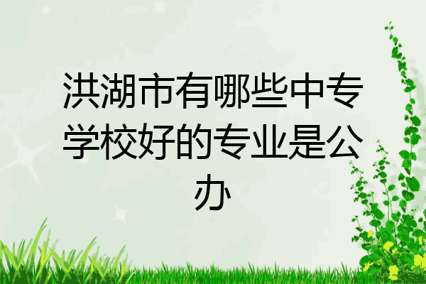 洪湖市有哪些中专学校好的专业是公办