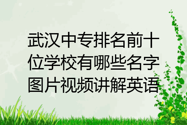 武汉中专排名前十位学校有哪些名字图片视频讲解英语