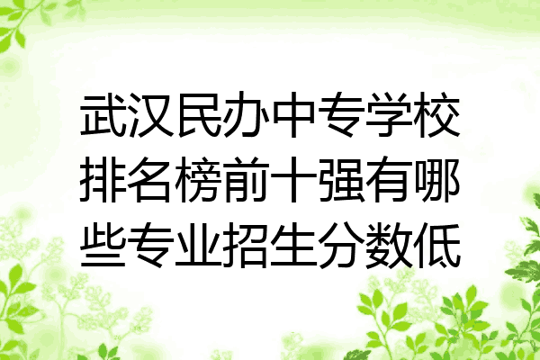 武汉民办中专学校排名榜前十强有哪些专业招生分数低