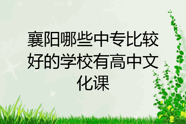 襄阳哪些中专比较好的学校有高中文化课