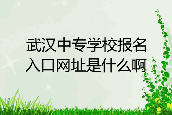 武汉中专学校报名入口网址是什么啊