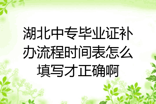 湖北中专毕业证补办流程时间表怎么填写才正确啊