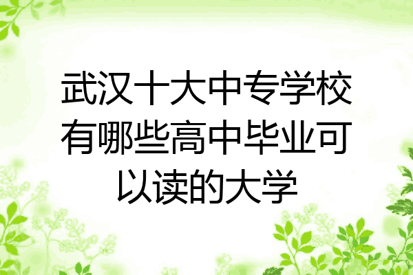 武汉十大中专学校有哪些高中毕业可以读的大学