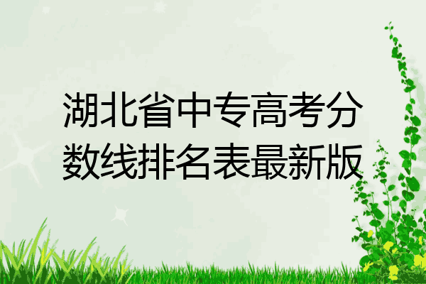 湖北省中专高考分数线排名表最新版