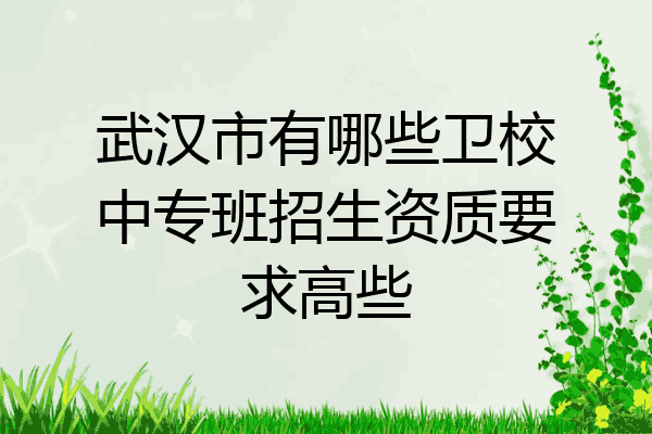 武汉市有哪些卫校中专班招生资质要求高些