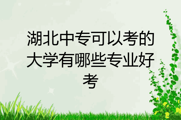湖北中专可以考的大学有哪些专业好考