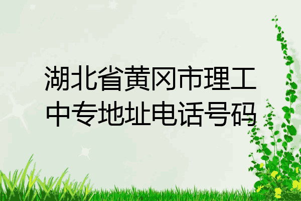 湖北省黄冈市理工中专地址电话号码