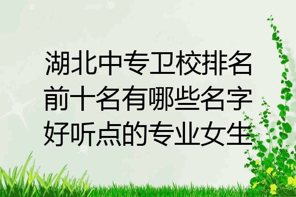 湖北中专卫校排名前十名有哪些名字好听点的专业女生