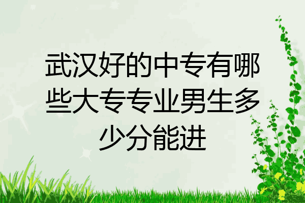 武汉好的中专有哪些大专专业男生多少分能进