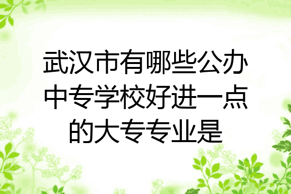 武汉市有哪些公办中专学校好进一点的大专专业是
