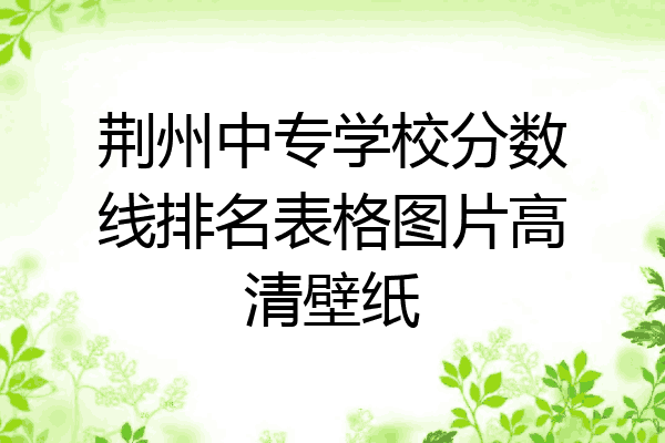 荆州中专学校分数线排名表格图片高清壁纸