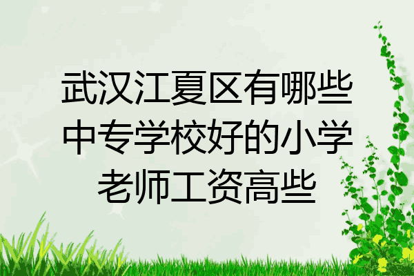 武汉江夏区有哪些中专学校好的小学老师工资高些