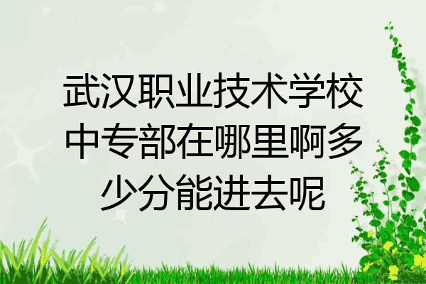 武汉职业技术学校中专部在哪里啊多少分能进去呢