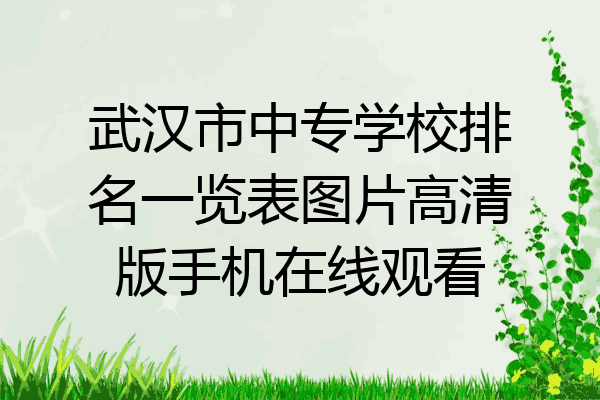 武汉市中专学校排名一览表图片高清版手机在线观看