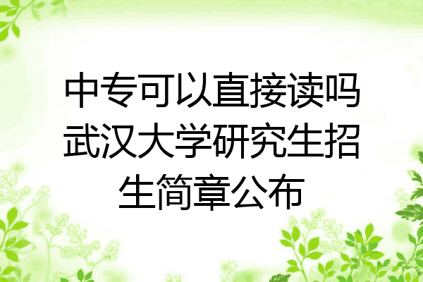 中专可以直接读吗武汉大学研究生招生简章公布