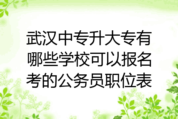 武汉中专升大专有哪些学校可以报名考的公务员职位表