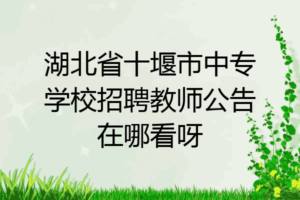 湖北省十堰市中专学校招聘教师公告在哪看呀