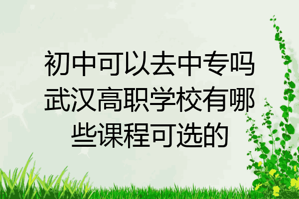 初中可以去中专吗武汉高职学校有哪些课程可选的
