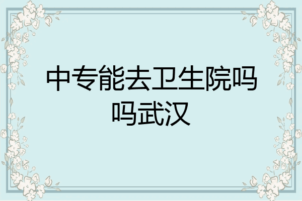 中专能去卫生院吗吗武汉