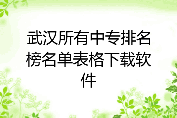 武汉所有中专排名榜名单表格下载软件