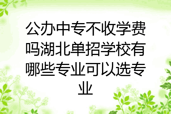 公办中专不收学费吗湖北单招学校有哪些专业可以选专业