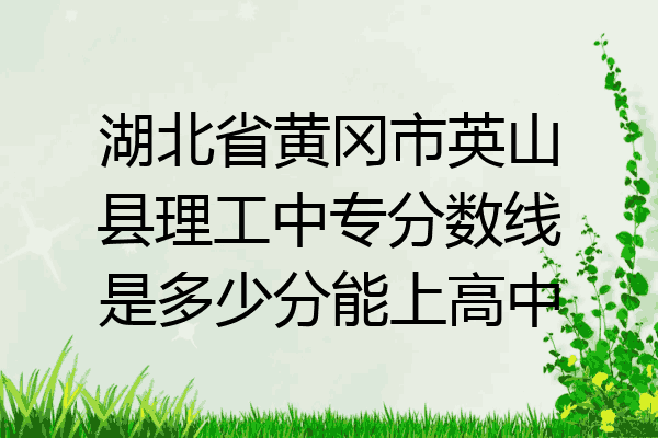 湖北省黄冈市英山县理工中专分数线是多少分能上高中