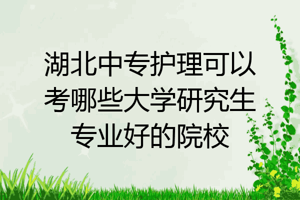 湖北中专护理可以考哪些大学研究生专业好的院校