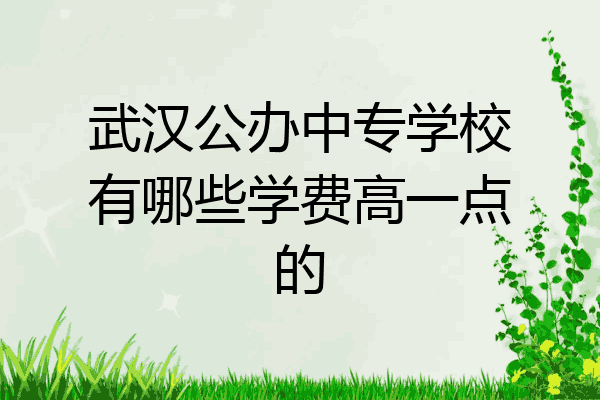 武汉公办中专学校有哪些学费高一点的