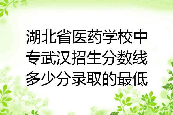 湖北省医药学校中专武汉招生分数线多少分录取的最低