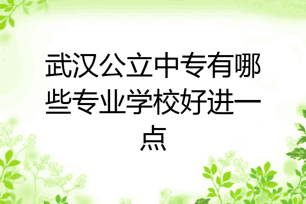 武汉公立中专有哪些专业学校好进一点