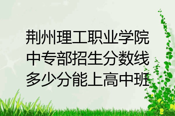 荆州理工职业学院中专部招生分数线多少分能上高中班