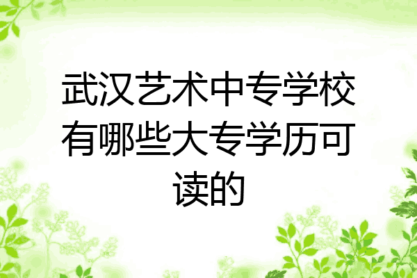 武汉艺术中专学校有哪些大专学历可读的