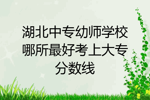 湖北中专幼师学校哪所最好考上大专分数线