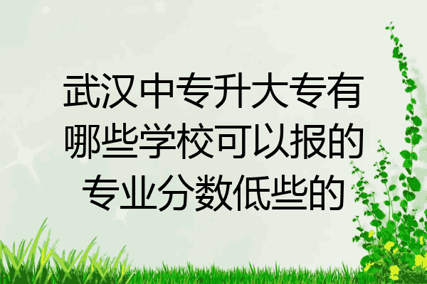 武汉中专升大专有哪些学校可以报的专业分数低些的