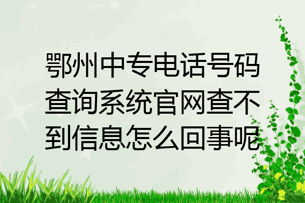鄂州中专电话号码查询系统官网查不到信息怎么回事呢