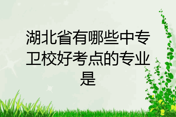 湖北省有哪些中专卫校好考点的专业是