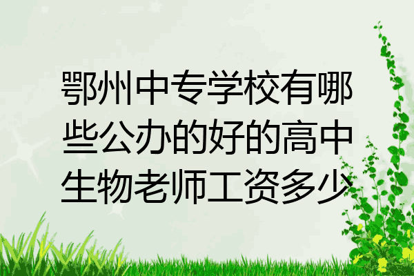 鄂州中专学校有哪些公办的好的高中生物老师工资多少
