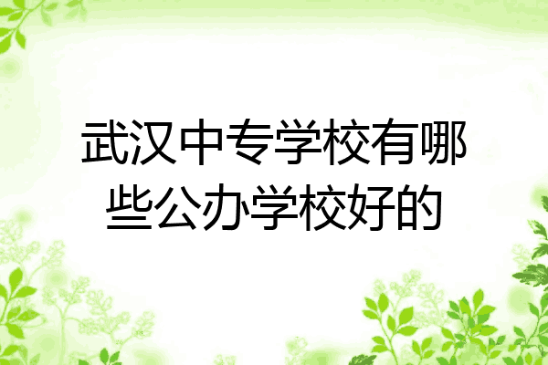 武汉中专学校有哪些公办学校好的
