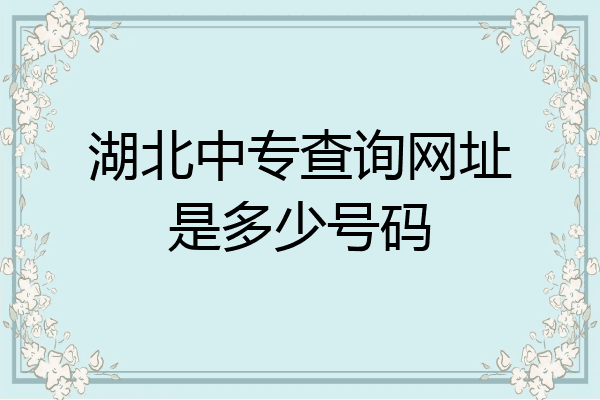 湖北中专查询网址是多少号码