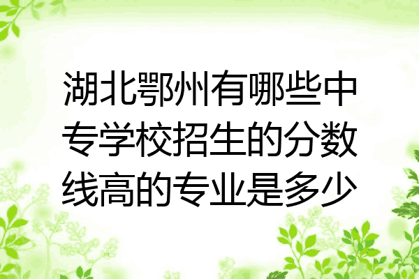 湖北鄂州有哪些中专学校招生的分数线高的专业是多少