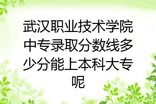 武汉职业技术学院中专录取分数线多少分能上本科大专呢
